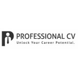 Professional CV Ireland