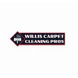 Willis Carpet Cleaning Pros