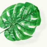 Baumdienst Ramer GmbH | Baumpflege & Baumfällung logo