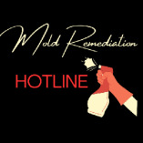 Mold Remediation Hotline Vero Beach FL