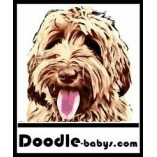 Doodlebabys