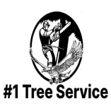 #1 Tree Service Wichita Falls