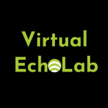 virtualecholab