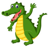 escortalligator