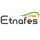 Etnafes