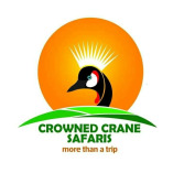 Crowned Crane Safaris