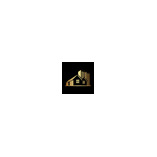 Die Hausverwaltung Welscher und Troyke logo