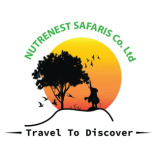 Nature Nest Safaris