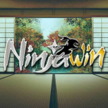 ninjawinpro