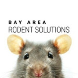 Bay Area Rodent Solutions