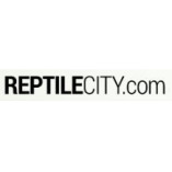 Reptile City