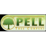 Pell Tree