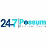 Possum Control Perth