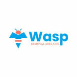 Wasp Removal Adelaide