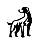 Big Dog Solar Energy