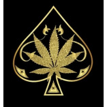 Ace Ultra Premium Shop