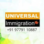 Universal Immigration Consultant Chandigarh