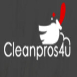 Clean Pros4u