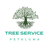Tree Service Petaluma