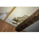 Mold Experts of Sacramento