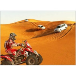 Morning and Evening Desert Safari Dubai, Camel Ride Dubai, Camel Trekking Dubai