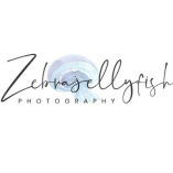 Zebrajellyfish Photography