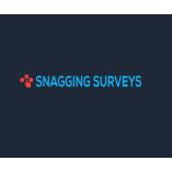 Snagging Surveys