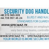 Spetsnaz Security International Limited Fidel Matola