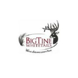 BigTine Whitetails