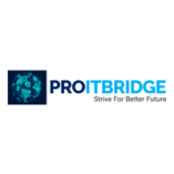 Proitbridge Pvt Ltd