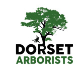 Dorset Arborists