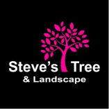 Steves Tree and Landscape