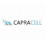 CAPRACELL - LifePO4 Batterien und Ladetechnik