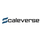 Scaleverse