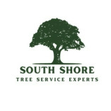 South Shore Tree Service Experts