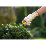 Pressure Washing Wood Green