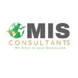 MIS-Consultants