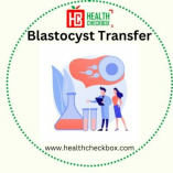 Blastocyst Transfer Treatment in India & near me