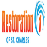 Restoration 1 of St Charles