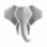Elefant Immobilien GmbH logo