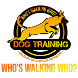 Whos Walking Who? Dog Training Utah