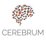 Cerebrum