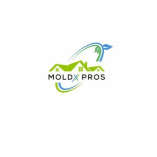 Moldx Pros - Mold Inspection, Removal & Remediation