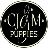 CJM Puppies