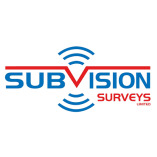 Subvision Surveys