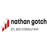 St Louis SEO Consultant