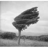 EUGENIO PEIRO PSICÓLOGO VALENCIA