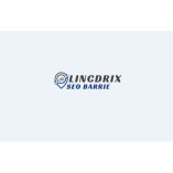 Lincdrix SEO