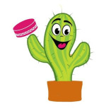 Mr Cactus