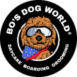 Bos Dog World
